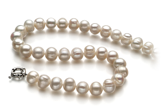10-11mm Sötvatten Halsband i Enkel Vit