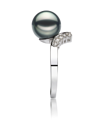 8-9mm japanska Akoya Ringa i Grace: Elegans Svart