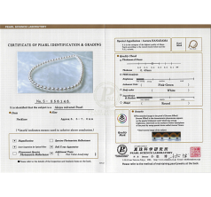 6.5-7mm japanska Akoya Halsband i Hanadama 23-tum Vit