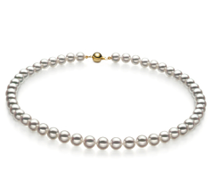 7.5-8mm japanska Akoya Halsband i Hanadama 18 tum Vit