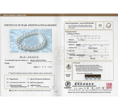 8.5-9mm japanska Akoya Armband i Hanadama 7 tum Vit