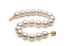 8.5-9mm japanska Akoya Armband i Hanadama 8-tum Vit