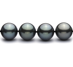 12-12.9mm Tahitiska Halsband i Q118 Svart