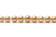 10.1-14.6mm Söderhavet Halsband i 18 tum Guld