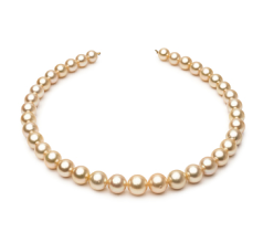 9.6-12.6mm Söderhavet Halsband i 18-tums Guld