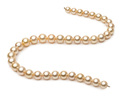 9.6-12.6mm Söderhavet Halsband i 18-tums Guld