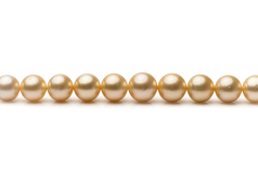 9.6-12.6mm Söderhavet Halsband i 18-tums Guld