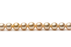 9.3-13.3mm Söderhavet Halsband i 18-tums Guld