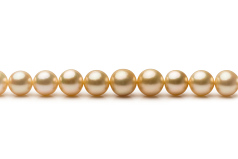 9.3-13.2mm Söderhavet Halsband i 18 tum Guld