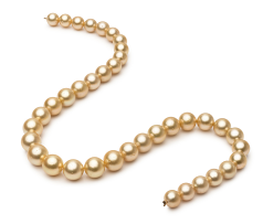 9.5-11.9mm Söderhavet Halsband i 18-tums Guld