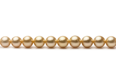 9.5-11.9mm Söderhavet Halsband i 18-tums Guld