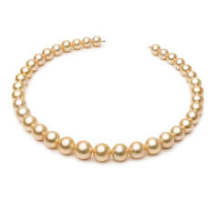 9.7-13.9mm Söderhavet Halsband i 18 tum. Guld
