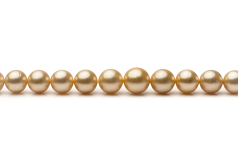 9.7-13.9mm Söderhavet Halsband i 18 tum. Guld