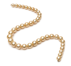 9.2-12.8mm Söderhavet Halsband i 18 tum Guld