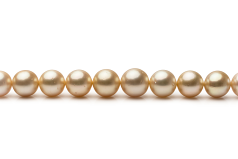 9.2-12.8mm Söderhavet Halsband i 18 tum Guld