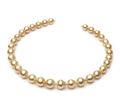 10.1-12.5mm Söderhavet Halsband i Guld 18 tum Guld