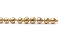 10.1-12.5mm Söderhavet Halsband i Guld 18 tum Guld
