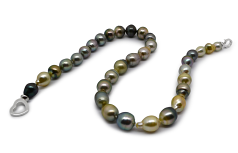 8-10mm Tahitiska Halsband i 41 cm. Flerfärgad