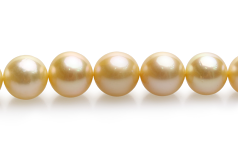 10-13.5mm Söderhavet Halsband i 18 tum Guld