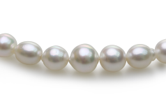 8.3-14mm Söderhavet Halsband i 18 tum Vit