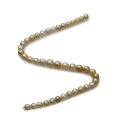 8.2-12mm Söderhavet Halsband i 18-tumsversionen Flerfärgad