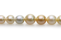 8.2-12mm Söderhavet Halsband i 18-tumsversionen Flerfärgad