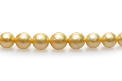 9-12mm Söderhavet Halsband i 18 tum Guld