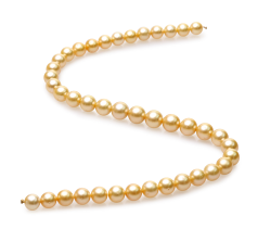 9-11.4mm Söderhavet Halsband i 18-tums Guld
