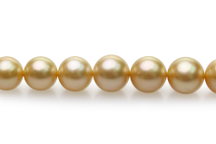 9-11.4mm Söderhavet Halsband i 18-tums Guld