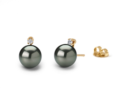 7.5-8mm japanska Akoya Örhängen Set i Evighet Svart