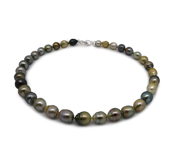 8-10mm Tahitiska Halsband i 41 cm. Flerfärgad