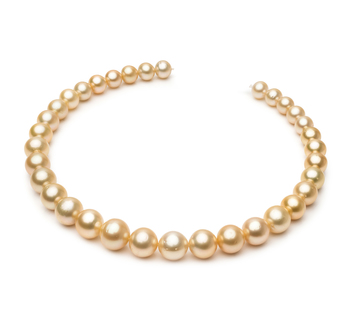 10.1-14.6mm Söderhavet Halsband i 18 tum Guld