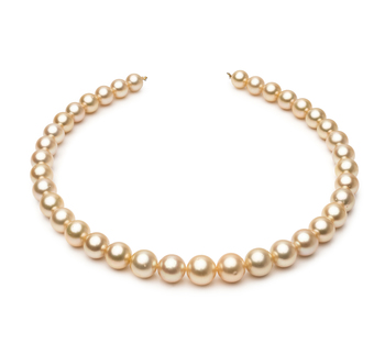 9.6-12.6mm Söderhavet Halsband i 18-tums Guld
