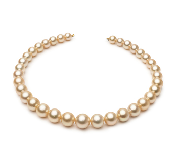 9.3-13.3mm Söderhavet Halsband i 18-tums Guld