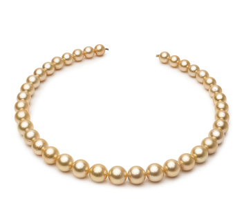 9.5-11.9mm Söderhavet Halsband i 18-tums Guld