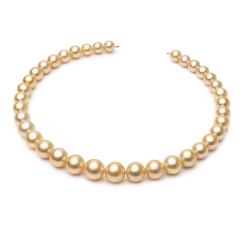 9.7-13.9mm Söderhavet Halsband i 18 tum. Guld