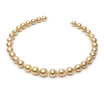 10.1-12.5mm Söderhavet Halsband i Guld 18 tum Guld
