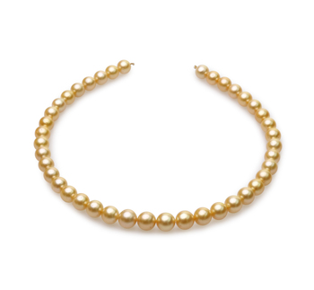 9-11.4mm Söderhavet Halsband i 18-tums Guld